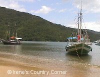 Copyright &COPY; Irene. Not for download.