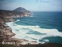 Copyright &COPY; Irene. Not for download.