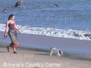 Copyright &COPY; Irene. Not for download.