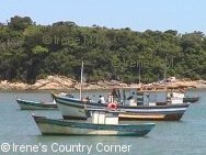 Copyright &COPY; Irene. Not for download.