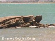 Copyright &COPY; Irene. Not for download.