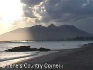 Copyright &COPY; Irene. Not for download.