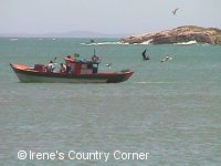 Copyright &COPY; Irene. Not for download.