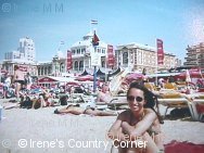 Copyright &COPY; Irene. Not for download.