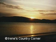 Copyright &COPY; Irene. Not for download.