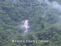 &COPY; Irene. Not for download.