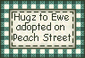 Click here to adopt Hugz to Ewe at Peach Street.