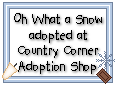 Click here to adopt Oh, What a Snow Ginger at Country Corner Adoption Shop.